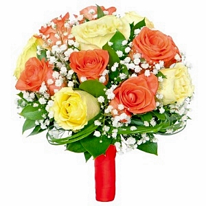 .     . Belflower -    .     .